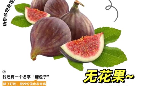 成人奶粉中的营养素功效及作用及禁忌-成人奶粉的配料表什么样的是好-成人奶粉中的营养素功效及作用及禁忌,中国成人奶粉中的营养素功效及作用网站