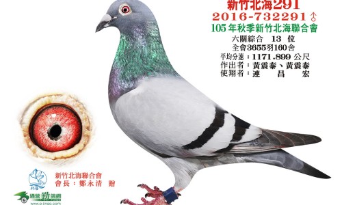 成人奶粉中的营养素功效及作用是什么-成人奶粉的配料表什么样的是好-成人奶粉中的营养素功效及作用及禁忌,中国成人奶粉中的营养素功效及作用网站