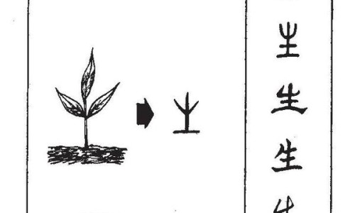 成人奶粉中的营养素功效及作用及禁忌-成人奶粉的配料表什么样的是好-成人奶粉中的营养素功效及作用及禁忌,中国成人奶粉中的营养素功效及作用网站